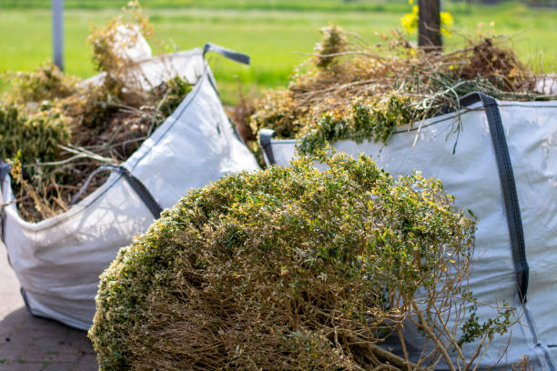 Best Furniture Removal Near Me  in North Palm Beach, FL